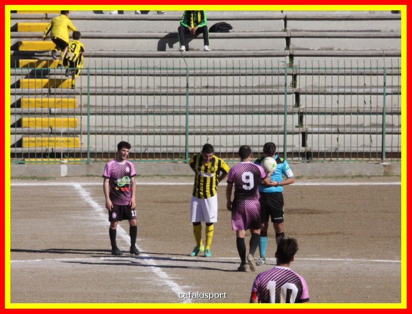 190310 Cephal_Torrenov 093_tn.jpg
